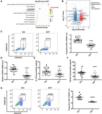 Increased miR-6132 promotes deep vein thrombosis formation by downregulating FOXP3 expression